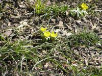 P3280048.JPG - 2005:03:28 13:22:52