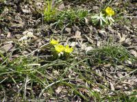 P3280050.JPG - 2005:03:28 13:22:53