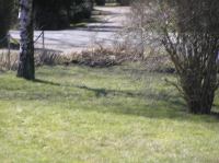 P3280057.JPG - 2005:03:28 13:23:32