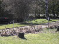 P3280060.JPG - 2005:03:28 13:23:47