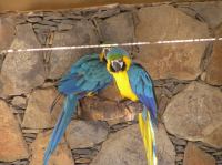 P4170054.JPG - 2005:04:17 10:24:45