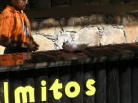 P4170062.JPG - 2005:04:17 10:34:54