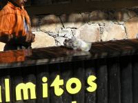 P4170063.JPG - 2005:04:17 10:34:55