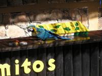 P4170065.JPG - 2005:04:17 10:36:48