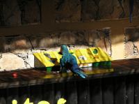 P4170067.JPG - 2005:04:17 10:37:05