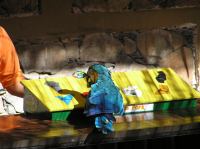 P4170068.JPG - 2005:04:17 10:37:17