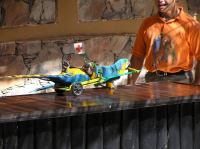 P4170081.JPG - 2005:04:17 10:41:47