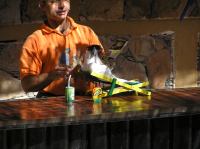 P4170084.JPG - 2005:04:17 10:45:16