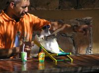 P4170085.JPG - 2005:04:17 10:45:22