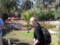 P4170089.JPG - 2005:04:17 11:01:09