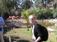 P4170090.JPG - 2005:04:17 11:01:10