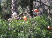 P4170092.JPG - 2005:04:17 11:01:30