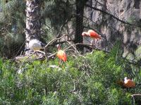 P4170093.JPG - 2005:04:17 11:01:31