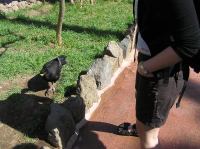 P4170094.JPG - 2005:04:17 11:01:41