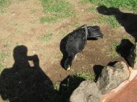 P4170095.JPG - 2005:04:17 11:01:45