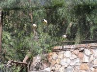 P4170097.JPG - 2005:04:17 11:02:38