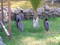 P4170098.JPG - 2005:04:17 11:02:59