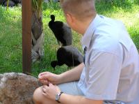 P4170102.JPG - 2005:04:17 11:03:36