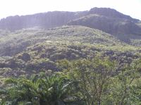 P4170105.JPG - 2005:04:17 11:06:42