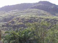 P4170106.JPG - 2005:04:17 11:06:56