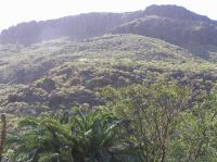 P4170107.JPG - 2005:04:17 11:06:56