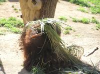 P4170115.JPG - 2005:04:17 11:23:38