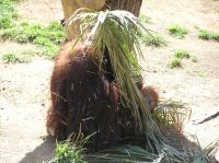 P4170117.JPG - 2005:04:17 11:24:19