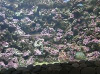 P4170119.JPG - 2005:04:17 11:29:03