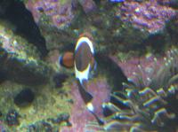 P4170121.JPG - 2005:04:17 11:29:15