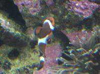 P4170122.JPG - 2005:04:17 11:29:15