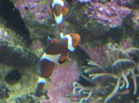 P4170123.JPG - 2005:04:17 11:29:17