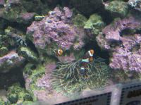 P4170124.JPG - 2005:04:17 11:29:24