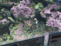 P4170125.JPG - 2005:04:17 11:29:25