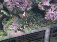 P4170126.JPG - 2005:04:17 11:29:35