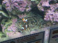 P4170127.JPG - 2005:04:17 11:29:36