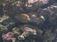 P4170128.JPG - 2005:04:17 11:29:42