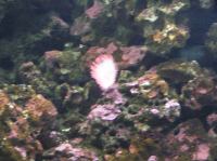 P4170129.JPG - 2005:04:17 11:30:02