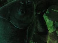 P4170130.JPG - 2005:04:17 11:30:19