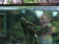 P4170132.JPG - 2005:04:17 11:30:43