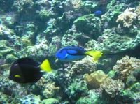 P4170133.JPG - 2005:04:17 11:31:34