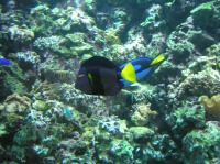 P4170134.JPG - 2005:04:17 11:31:35