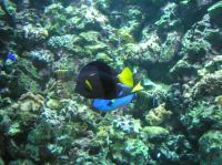 P4170135.JPG - 2005:04:17 11:31:36