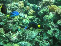 P4170136.JPG - 2005:04:17 11:31:40