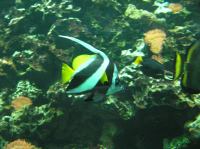 P4170137.JPG - 2005:04:17 11:32:12