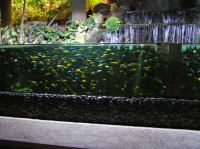 P4170138.JPG - 2005:04:17 11:32:51