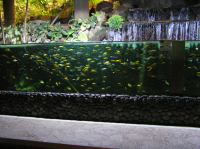 P4170139.JPG - 2005:04:17 11:32:52