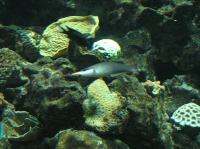 P4170140.JPG - 2005:04:17 11:33:16