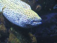 P4170141.JPG - 2005:04:17 11:33:28