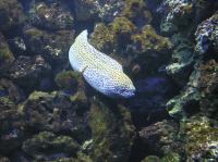 P4170142.JPG - 2005:04:17 11:33:32