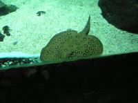 P4170143.JPG - 2005:04:17 11:33:59